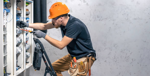 Best Electric Panel Repair  in Rio Hondo, TX